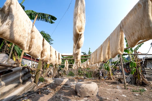  natural silk thread production in Hyderabad sericulture