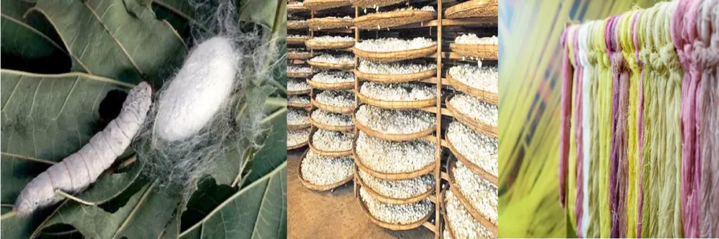 sericulture